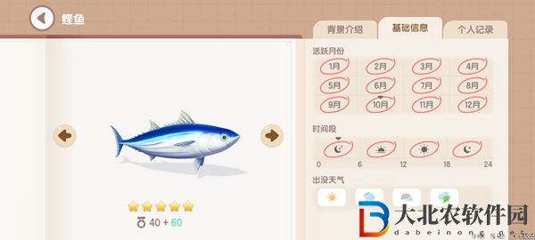 心動小鎮釣魚圖鑒有哪些