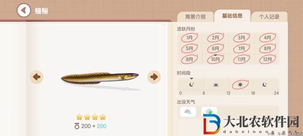 心動小鎮釣魚圖鑒有哪些