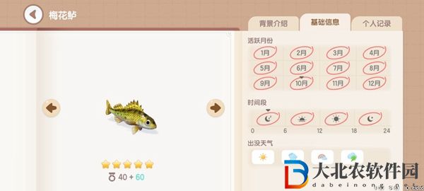 心動小鎮釣魚圖鑒有哪些