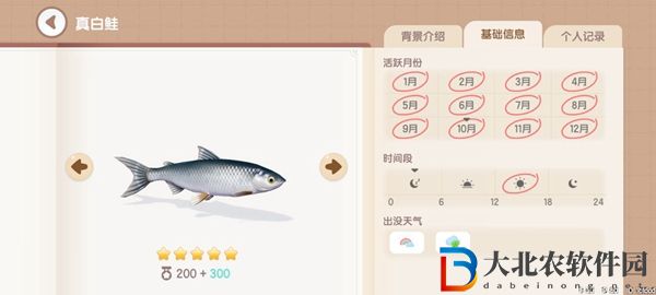 心動小鎮釣魚圖鑒有哪些