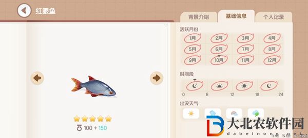 心動小鎮釣魚圖鑒有哪些
