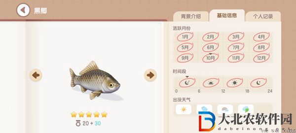 心動小鎮釣魚圖鑒有哪些