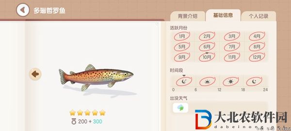 心動小鎮釣魚圖鑒有哪些