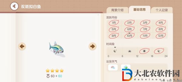 心動小鎮釣魚圖鑒有哪些