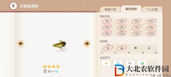心動小鎮釣魚圖鑒有哪些