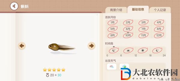 心動小鎮釣魚圖鑒有哪些