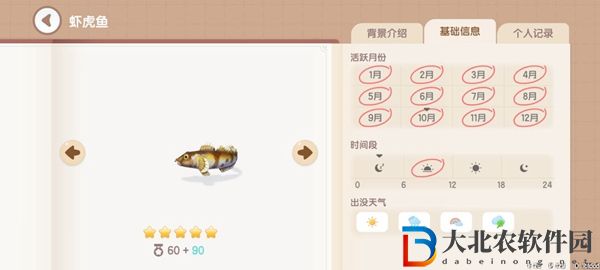 心動小鎮釣魚圖鑒有哪些