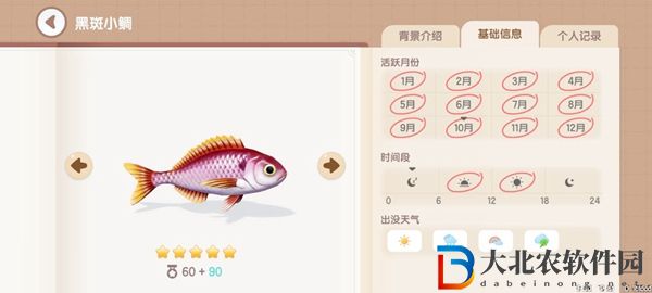 心動小鎮釣魚圖鑒有哪些