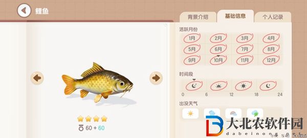 心動小鎮釣魚圖鑒有哪些