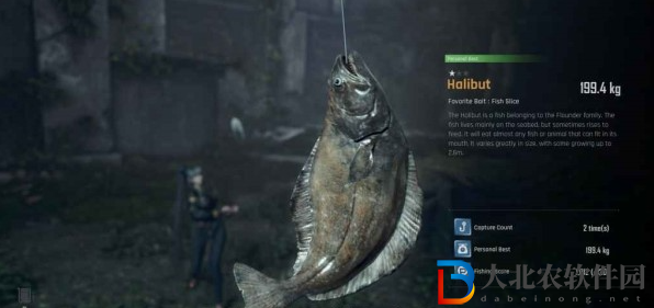 劍星關(guān)于魚的研究任務怎么做