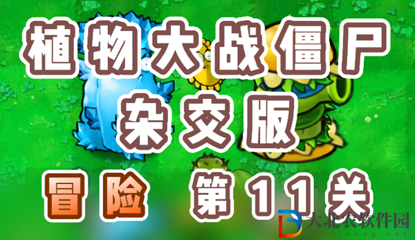 植物大戰僵尸雜交版冒險11關怎么過