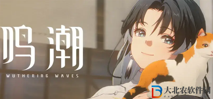 鳴潮1.1卡池角色有哪些