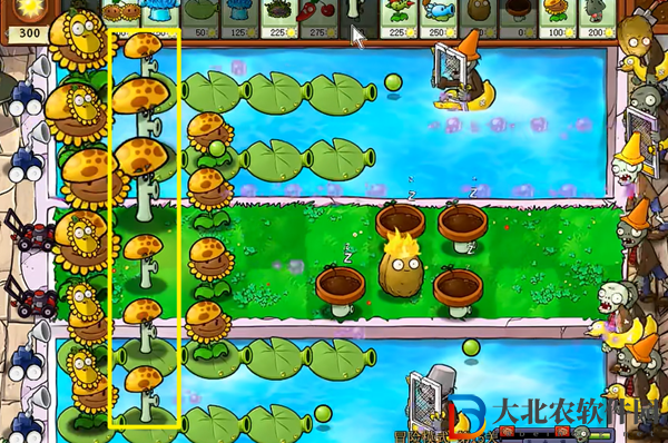 植物大戰(zhàn)僵尸雜交版冒險15關怎么過