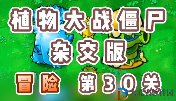 植物大戰僵尸雜交版冒險30關怎么過