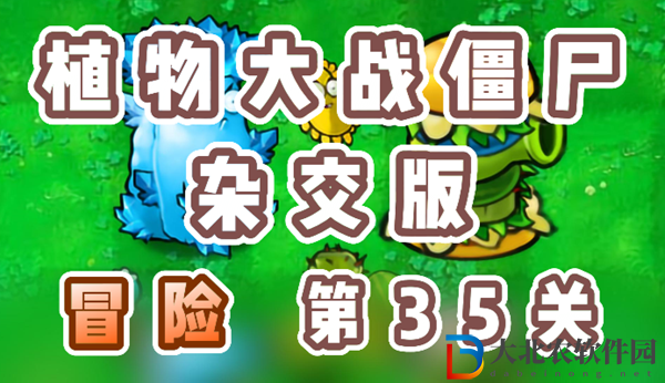 植物大戰僵尸雜交版冒險35關怎么過