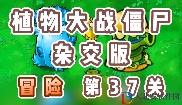 植物大戰僵尸雜交版冒險37關怎么過