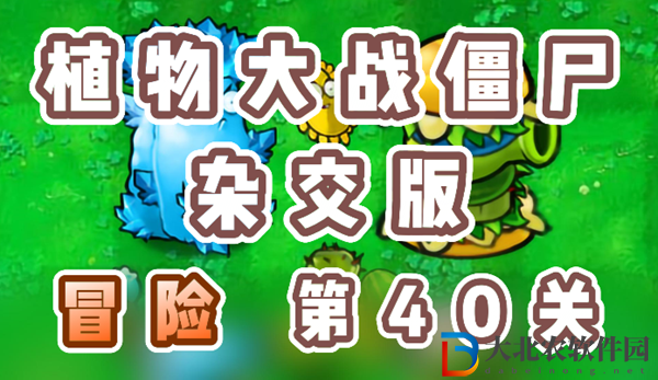 植物大戰僵尸雜交版冒險40關怎么過