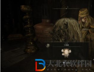 艾爾登法環(huán)黃金樹幽影角人老嫗支線任務(wù)攻略