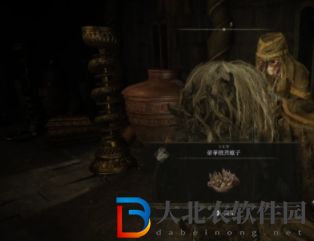 艾爾登法環(huán)黃金樹幽影角人老嫗支線任務(wù)攻略