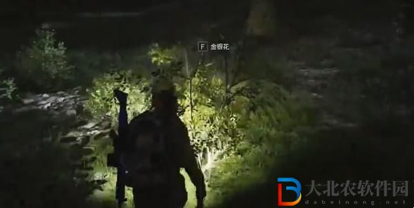 七日世界金銀花在哪