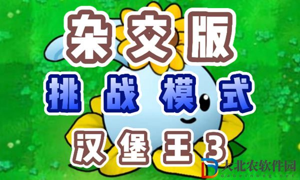 植物大戰僵尸雜交版漢堡王3怎么過