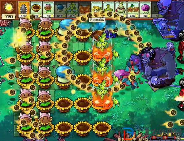 植物大戰(zhàn)僵尸雜交版鋼刺堅果王3怎么過