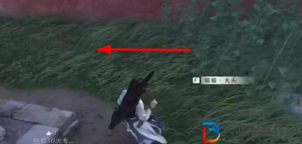 燕云十六聲貓貓竊玄位置在哪