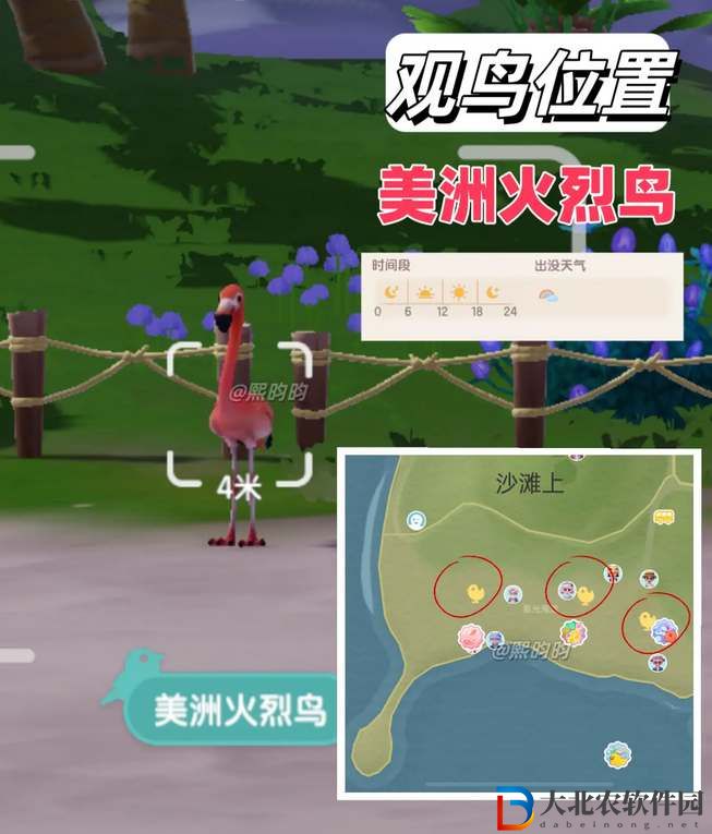 心動小鎮(zhèn)觀鳥9級具體位置攻略