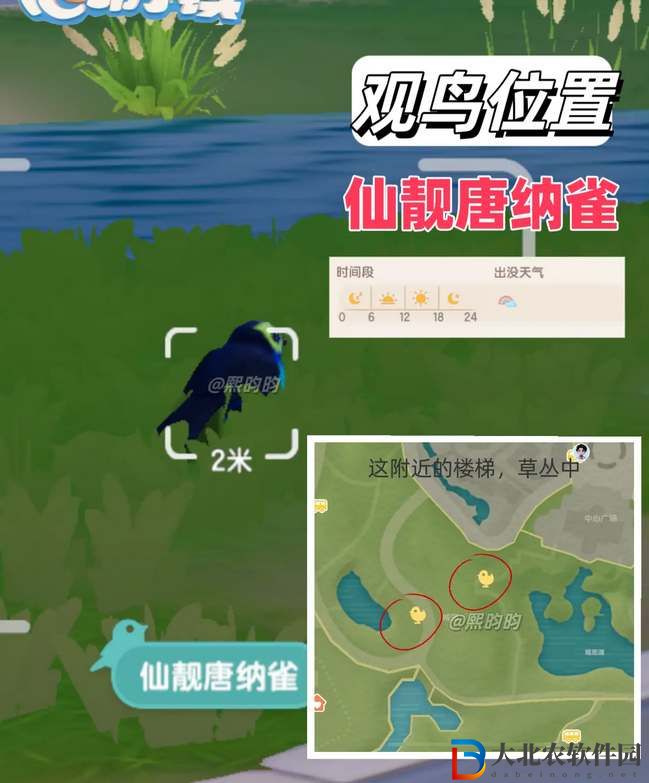 心動小鎮(zhèn)觀鳥9級具體位置攻略