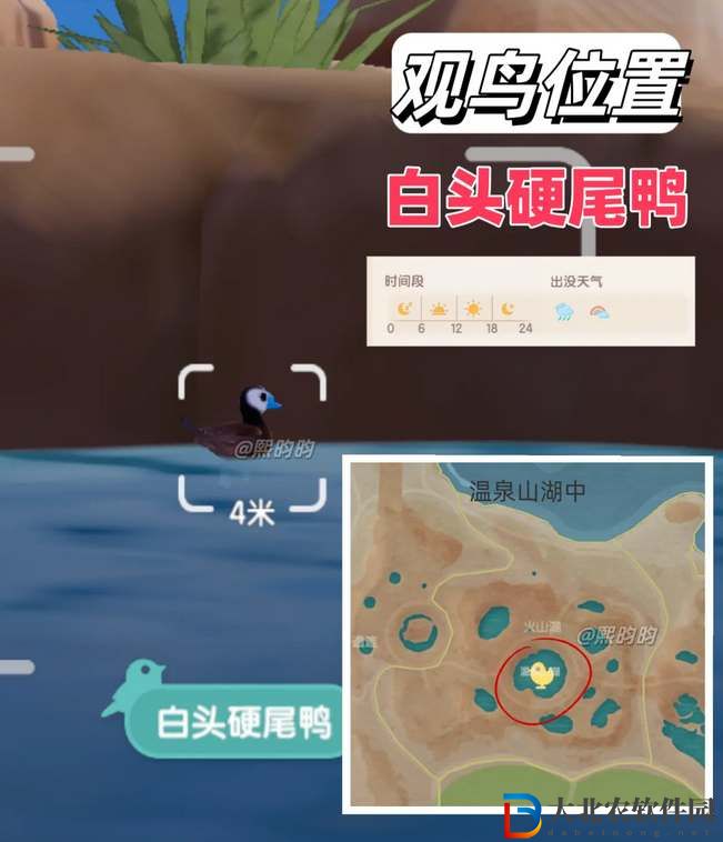 心動小鎮(zhèn)觀鳥9級具體位置攻略