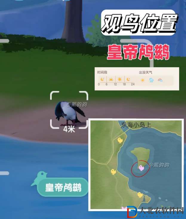 心動小鎮(zhèn)觀鳥9級具體位置攻略