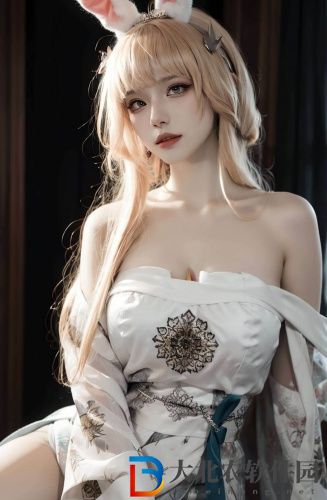 成熟人愛情觀視頻素材全集無刪減版